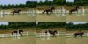 PicMonkey Collage.jpg
