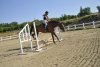 _DSC0106.jpg