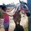 IMG_20130722_145212.jpg