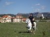DSCF4075.jpg