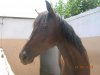 DSCN5463.jpg DSCN5463.jpg
