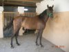 DSCN5510.jpg DSCN5510.jpg