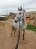 20121109_170546.jpg