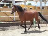 20130618_145849_6_bestshot.jpg