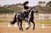 halloween-costume-horse-skeleton-Favim.com-634556.jpg