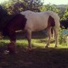 IMG_20130616_203022.jpg