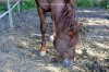 _DSC0004.jpg