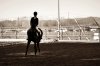 _DSC0339.jpg