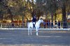 _DSC0344.jpg