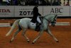 _MG_0352.jpg