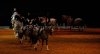 _MG_0710.jpg