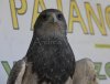 IMG_1081-2.jpg