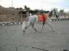 11625201665_60eebef6f3_z.jpg