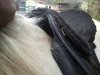 2014-03-04 15.50.00.jpg