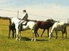 IMG-20120529-WA0000.jpg