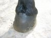 DSCN5717.jpg