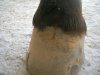 DSCN5723.jpg