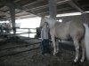 IMG_20130328_130046.jpg