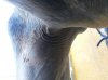 20131024_161615.jpg 20131024_161615.jpg