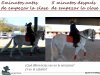 IM_010_Diferencias_Antes_Después.jpg IM_010_Diferencias_Antes_Después.jpg