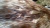 DSC_0178.jpg DSC_0178.jpg