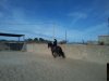 IMG-20140128-WA0012.jpg