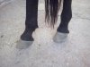CAM00687.jpg