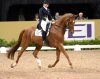 isabell_werth_dressage_topiberian.jpg