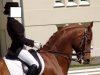 La-muchacha-en-el-caballo-rojo-1236936765_44.jpg