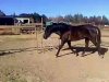 Picture_000001.jpg