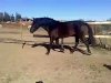 Picture_000002.jpg