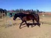 Picture_000003.jpg