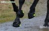 botas-para-caballo-124514157_2.jpg
