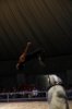 320792_160728210762949_778325603_n[2].jpg
