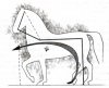 Caballo-avanzado-contra-la-embocadura-347x284.jpg