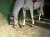 100_0412.jpg