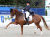 Isabell-Werth-Bella-Rose-IMG_2912.jpg