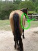 culo-de-caballo.jpg