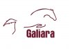 Centro_Hipico_Galiara.jpg Centro_Hipico_Galiara.jpg