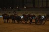 _DSC0169.jpg