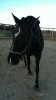 IMG-20131219-WA0030.jpg
