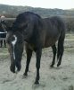 IMG-20131219-WA0031.jpg