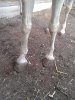 20150801_183546.jpg