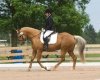 qh1.jpe