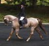 qh2.jpe