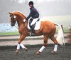 qh3.jpg