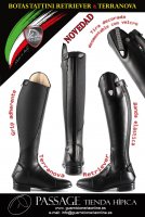 tattini-retriever-terranova.jpg