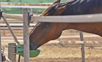 _DSC0017.JPG