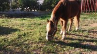 20160117_154235.jpg