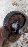 IMG-20171111-WA0003 (1).jpeg IMG-20171111-WA0003 (1).jpeg